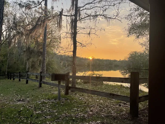 Womack Creek Campground Picture 5