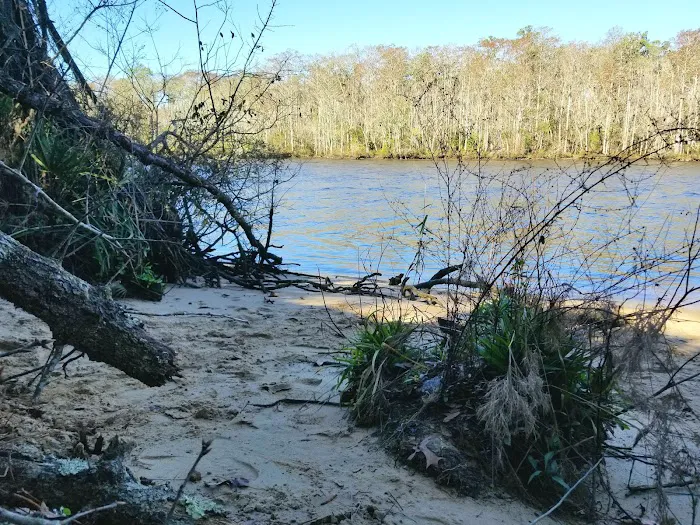 Womack Creek Campground Picture 1