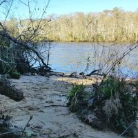 Womack Creek Campground ico