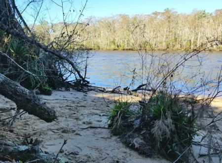 Womack Creek Campground