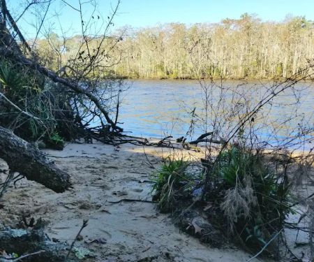 Womack Creek Campground