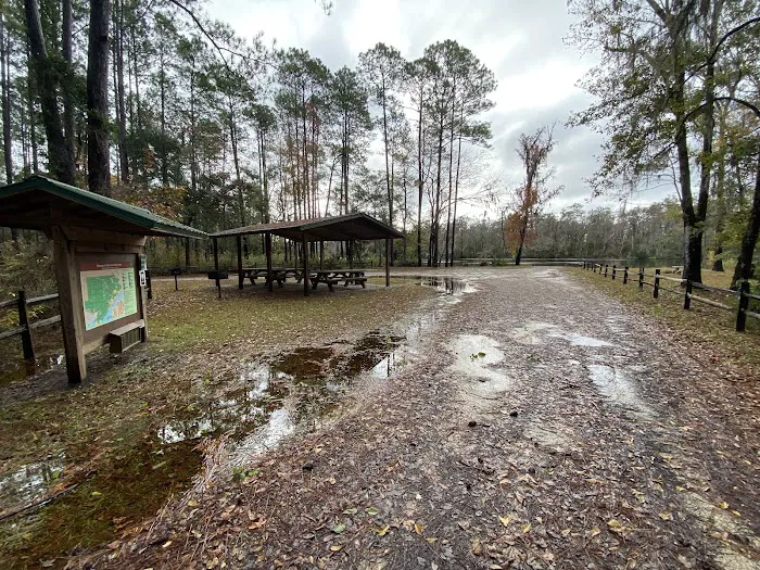Rock Landing Campground Picture 1