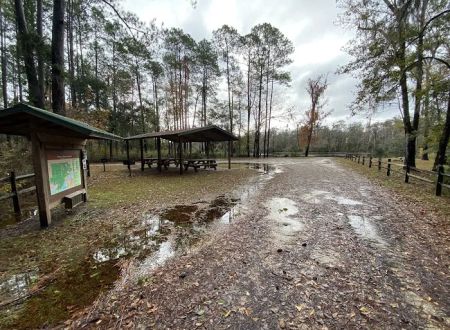 Rock Landing Campground