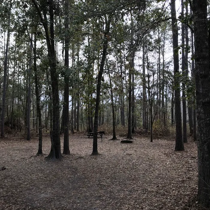 Rock Landing Campground Picture 9