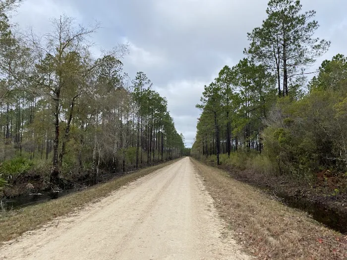Rock Landing Campground Picture 8
