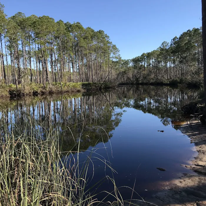 New River Primitive Campsite 8 Picture 7