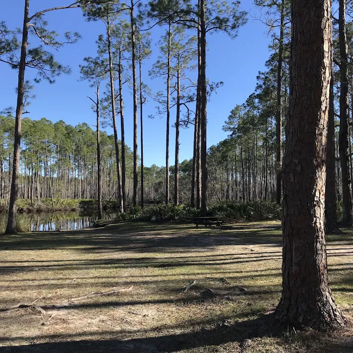New River Primitive Campsite 8 Picture 10