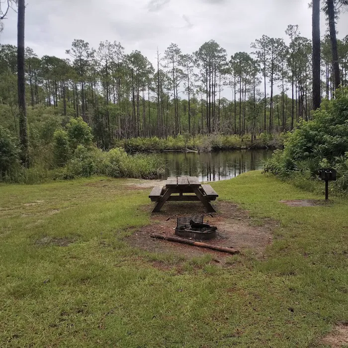 New River Primitive Campsite 8 Picture 8