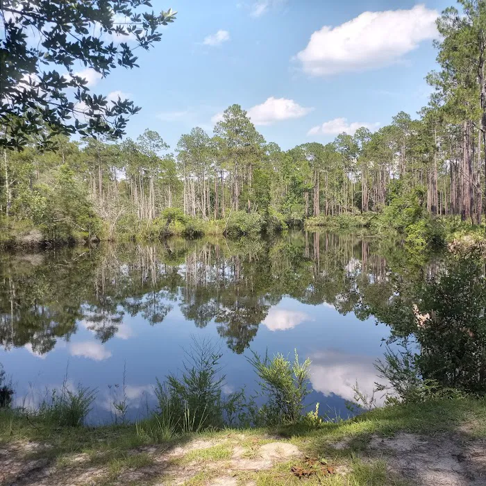 New River Primitive Campsite 8 Picture 2