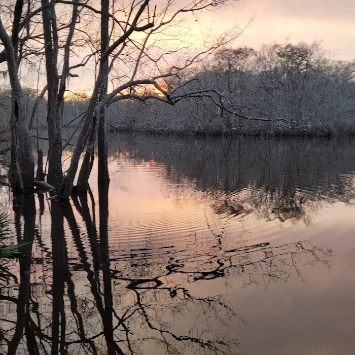 Hickory Landing Picture 4