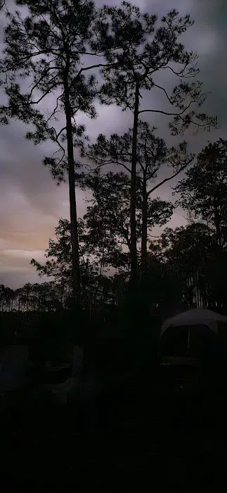 #9 Pope Place Campsite Picture 7