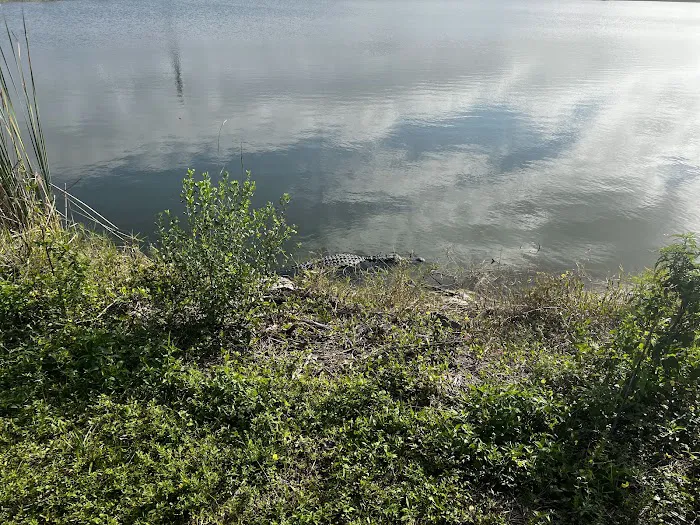 Monument Lake Campground Picture 10