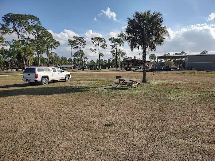 Picayune Strand State Forest Campground Picture 6