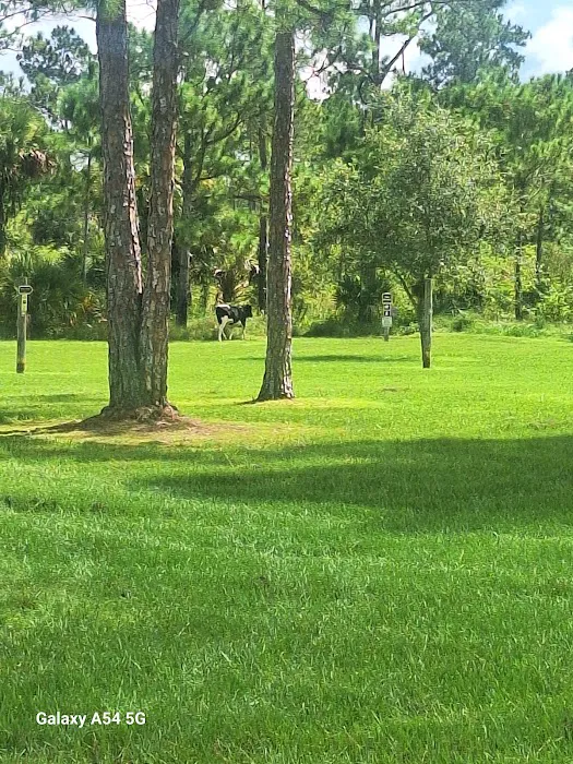Picayune Strand State Forest Campground Picture 10