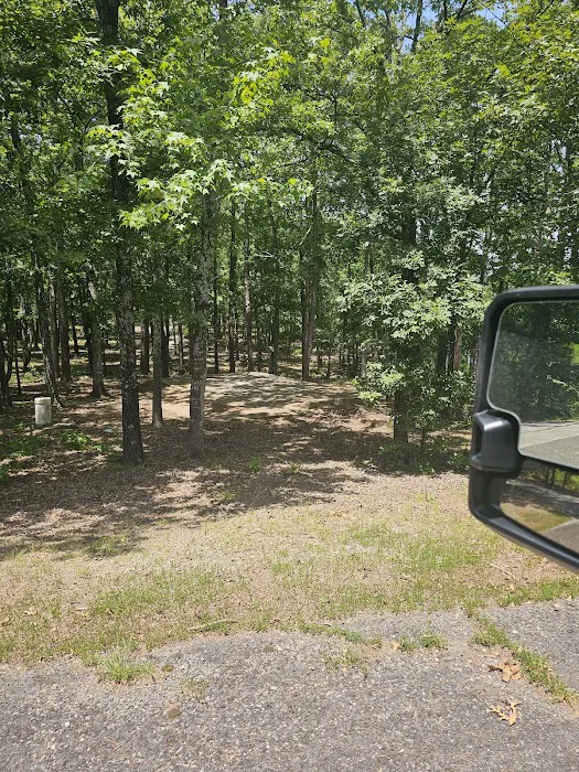 Mill Creek Campsite Picture 4