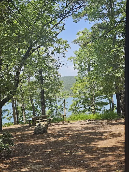 Mill Creek Campsite Picture 2