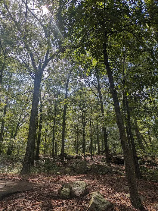 Mill Creek Campsite Picture 10