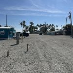 Dolphins Resort 55+