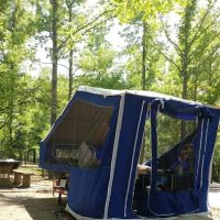 Cove Creek Recreation Area & Campground ico
