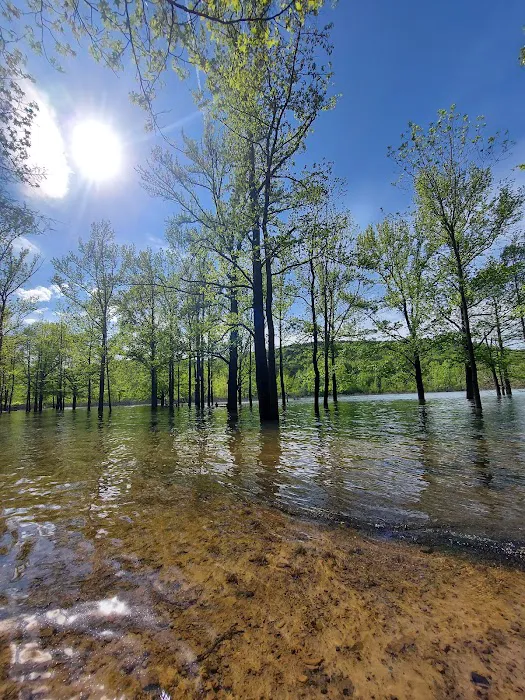 Cove Creek Recreation Area & Campground Picture 10