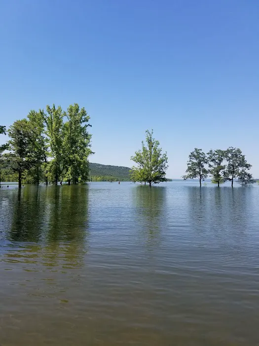 Cove Creek Recreation Area & Campground Picture 7