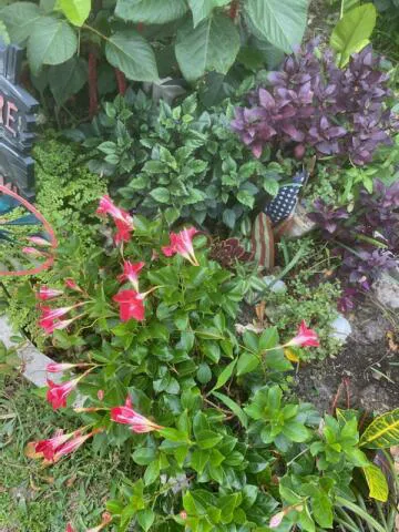 Lauderdale Mobile Home Park, LLC Picture 2