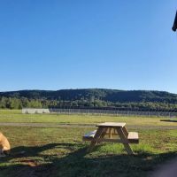 Wagon Circle RV Park ico