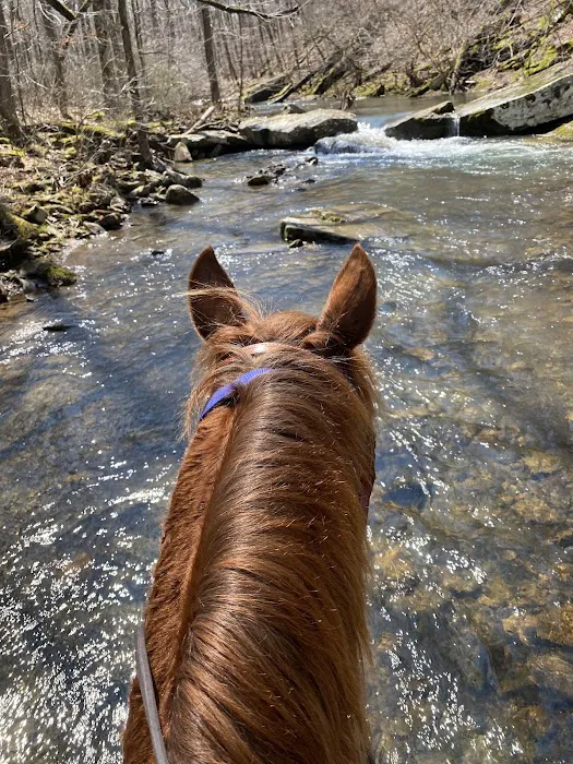 Boston Mountain Horse Camp Picture 2
