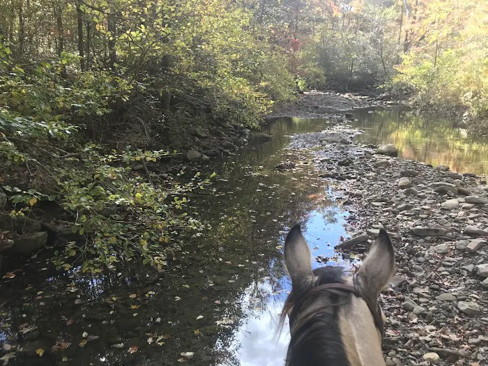 Boston Mountain Horse Camp Picture 1