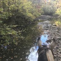 Boston Mountain Horse Camp ico