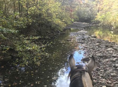 Boston Mountain Horse Camp
