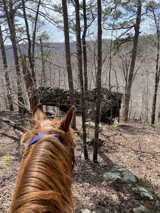 Boston Mountain Horse Camp Picture 5