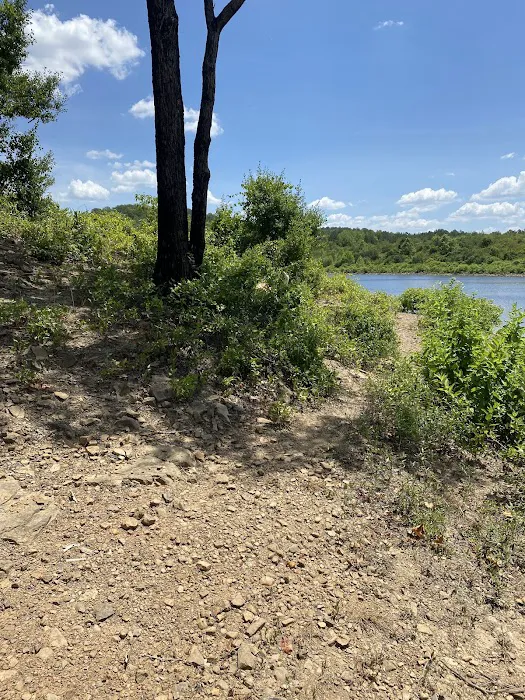 Upper Brock Creek Campground Picture 9