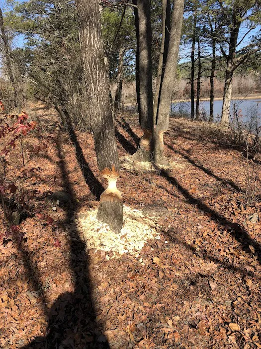 Upper Brock Creek Campground Picture 6