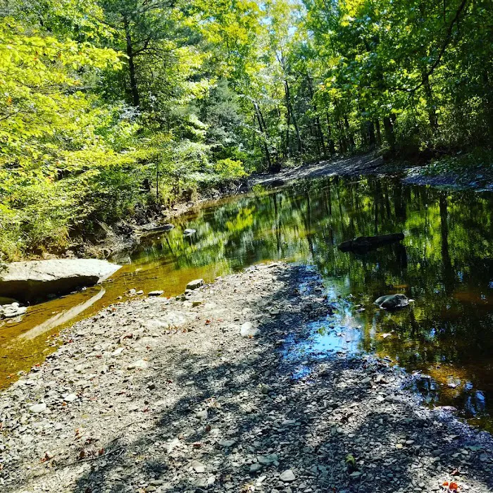 Upper Brock Creek Campground Picture 5