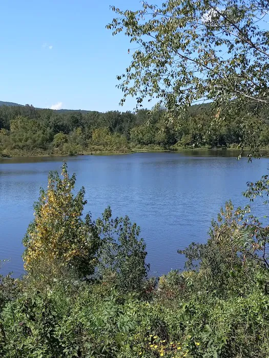 Upper Brock Creek Campground Picture 1