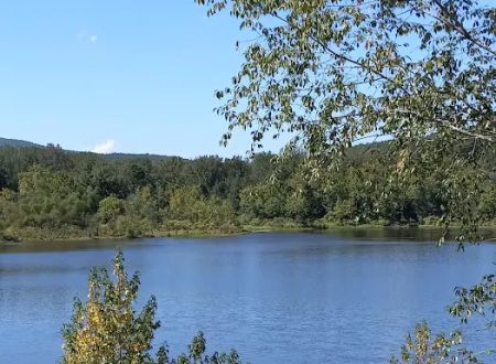 Upper Brock Creek Campground