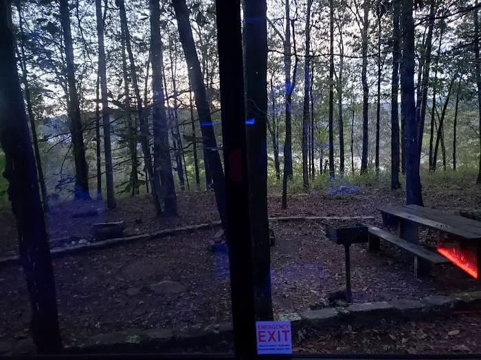 Upper Brock Creek Campground Picture 8