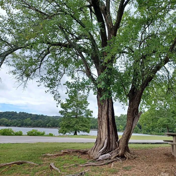 Cricket Creek Park Picture 7