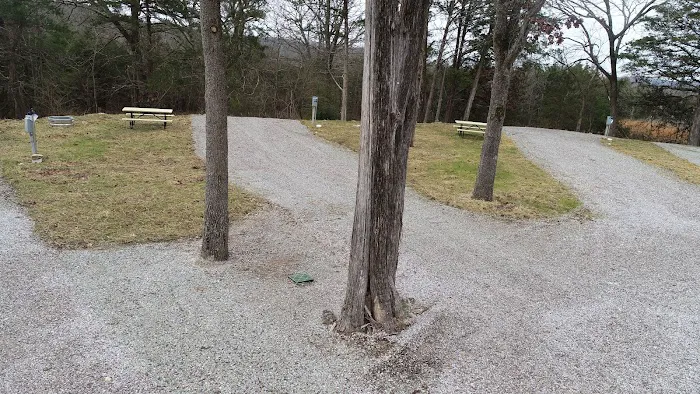 Oasis RV park Picture 4