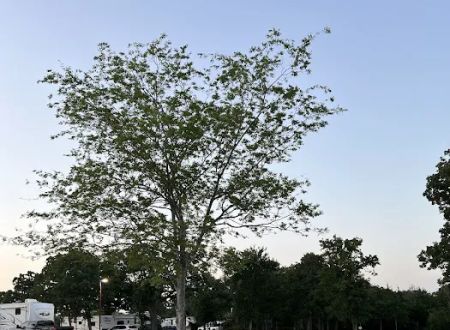 Castaway RV park