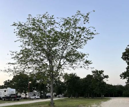 Castaway RV park