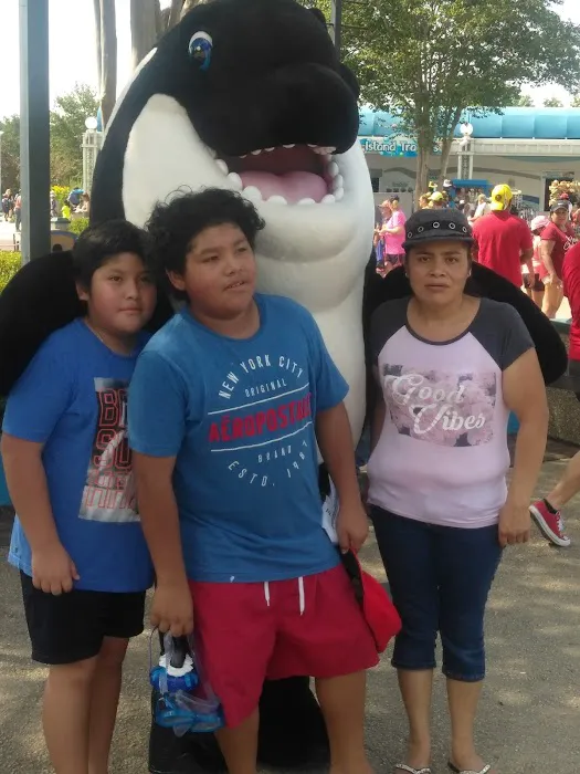 Breezy Oaks Mobile Home Comm Picture 5