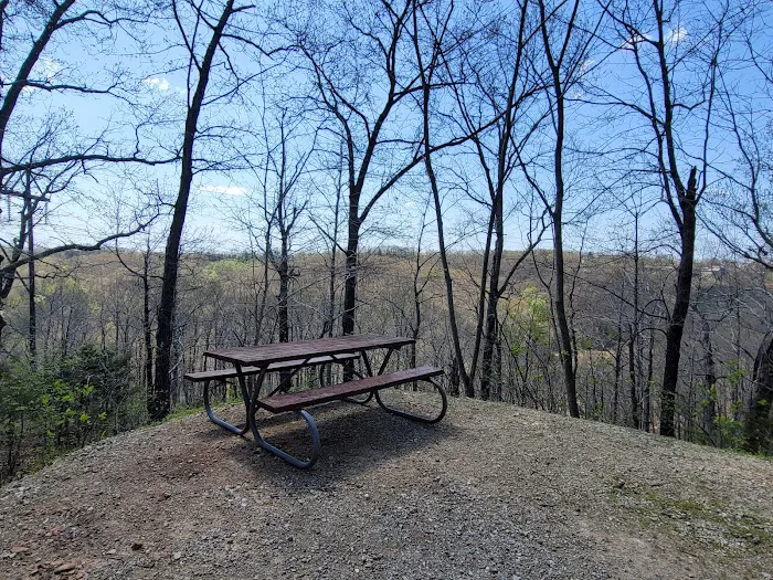 Silver Dollar City Campground Picture 2