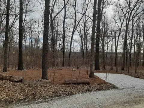 Shady Oaks Campground & RV Park Picture 3