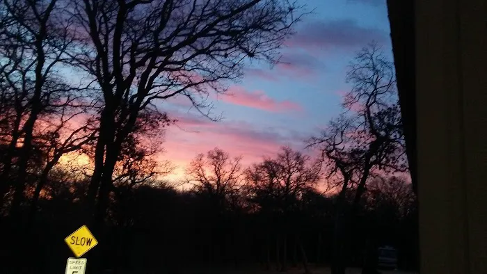 C&C Live Oak RV Park Picture 4