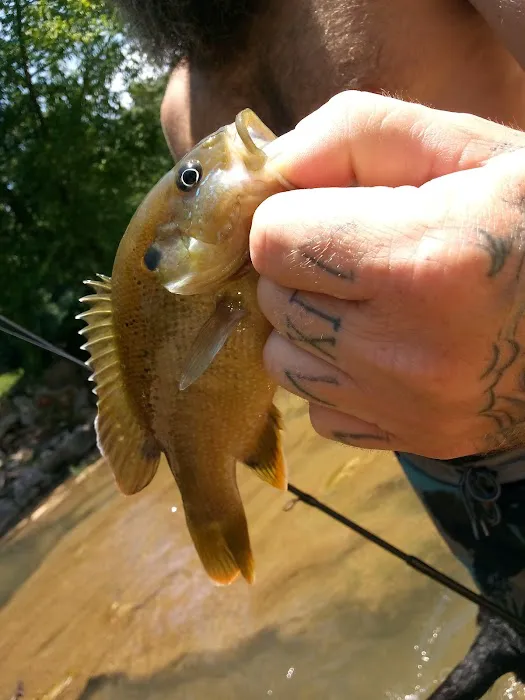 Mill Creek Camp Picture 8