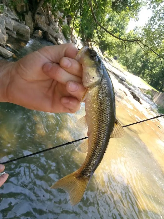 Mill Creek Camp Picture 10