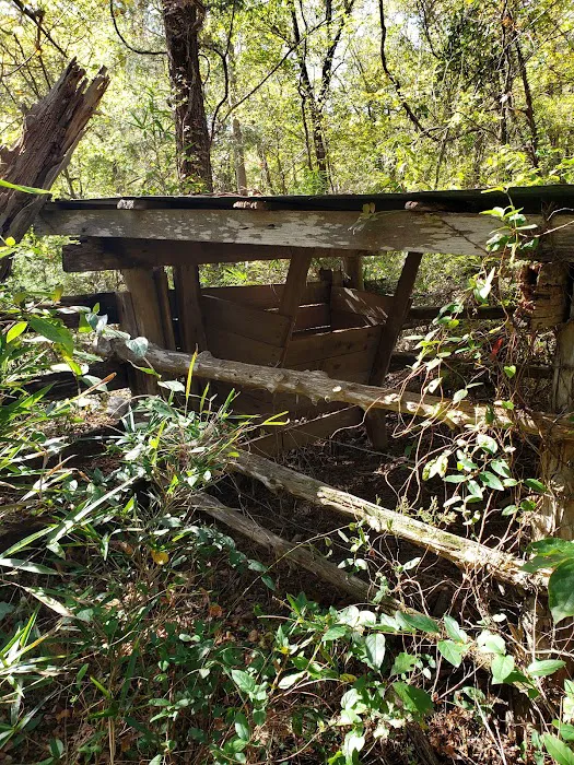 Erbie Campground Picture 4
