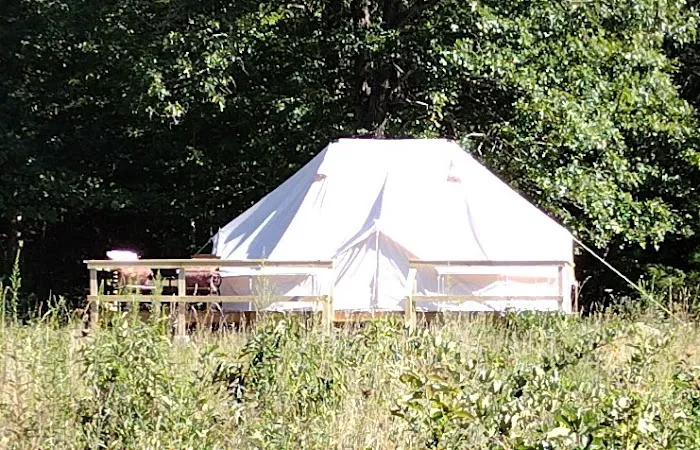 Happy Waterfall Pig Glamping Camp Picture 9